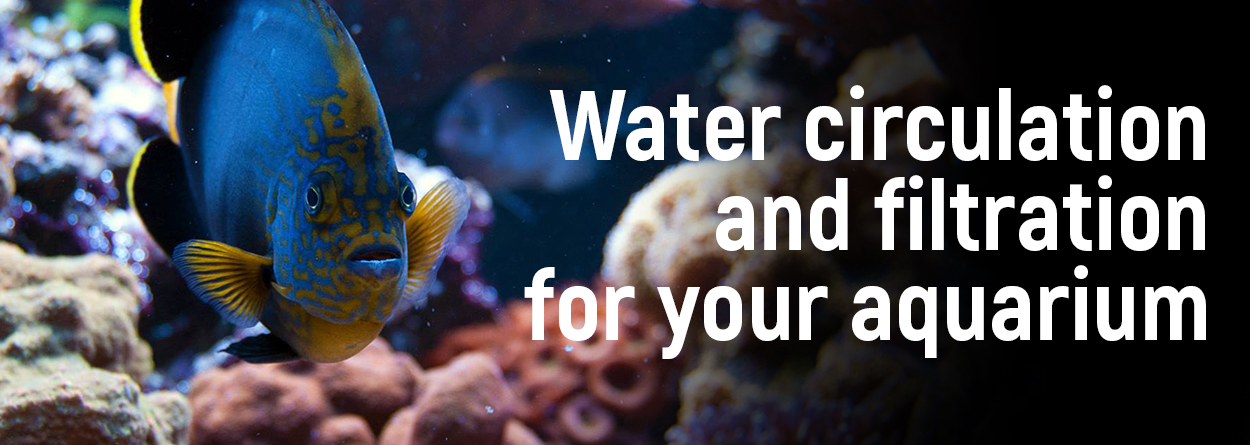 Water recirculation and filtration for aquarium