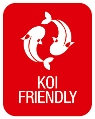 KOI FRIENDLY